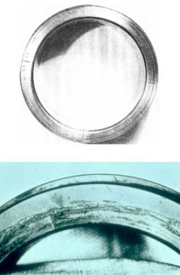 合肥仁楷智能裝備有限公司